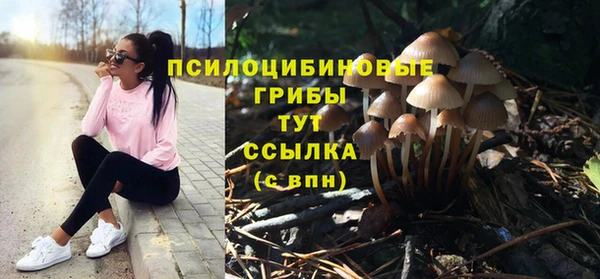 гидропоника Баксан