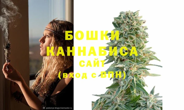 молекула духа Балабаново